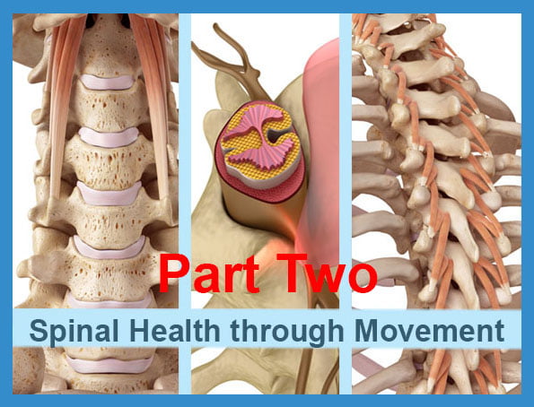 Read more about the article 1 Spine, 1 Life: Increase Your Potential with Proper Care